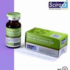 Testodex Enanthate Sciroxx 250mg 10ml Steroid For Sale USA